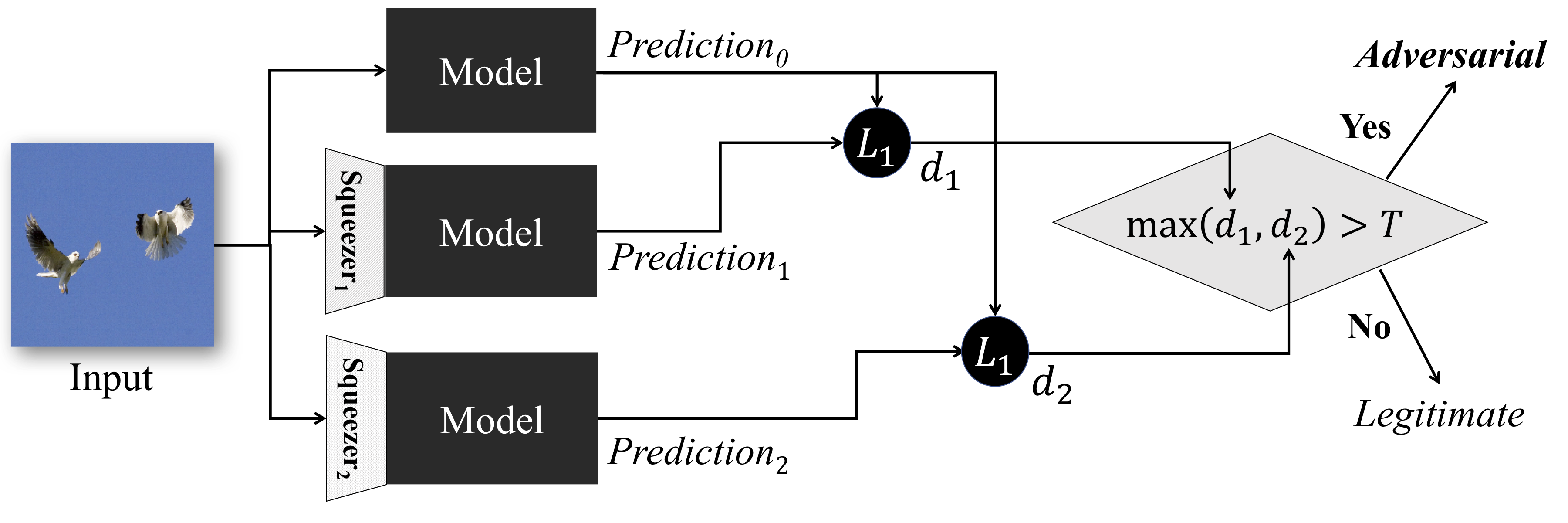 Feature Squeezing Detection Framework
